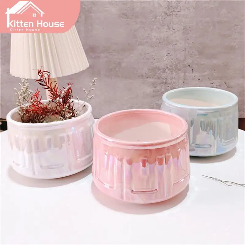 

Desktop Ornament Flower Pot For Small And Medium-sized Plants Succulents Planter Water Planting Container Exquisite High-quality