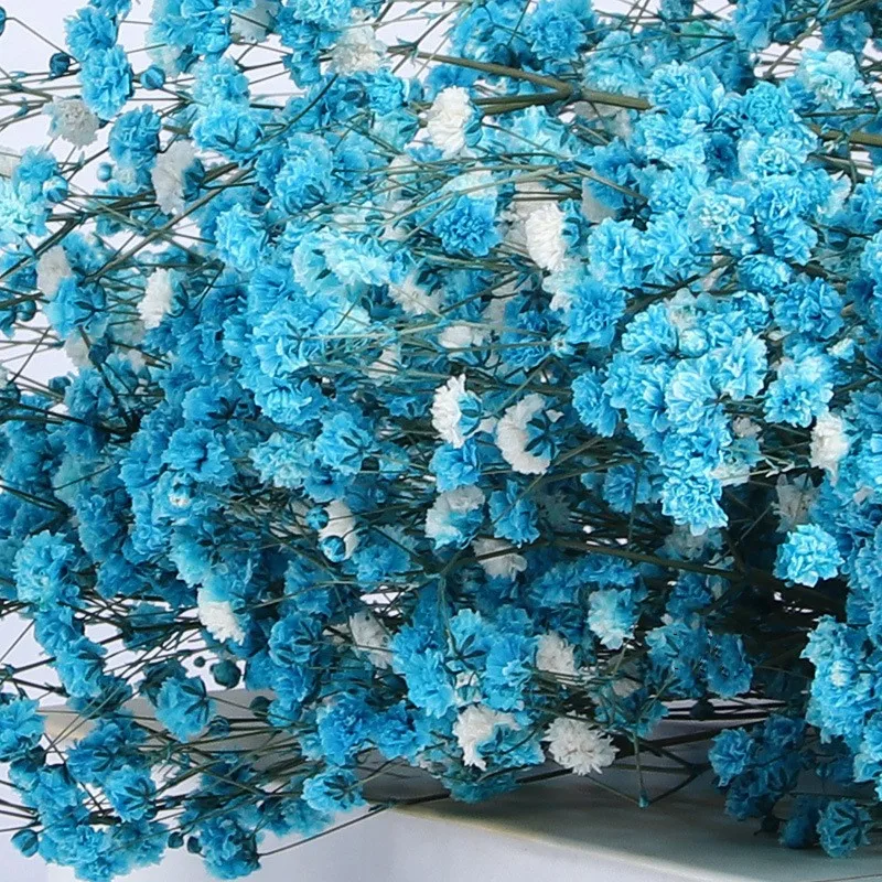 

100g Big Bunch BabysBreath Natural Dried Preserved Gypsophila Flower Decor Home Valentine Gift Ideas Wedding Supplies