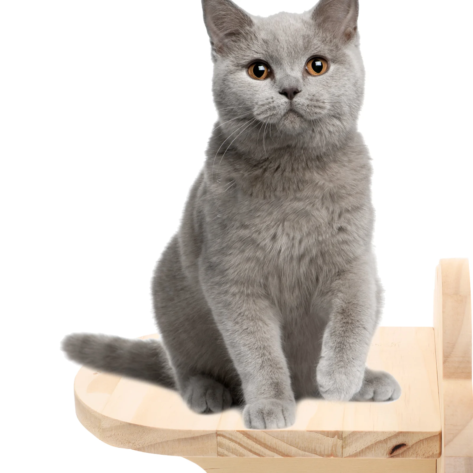 

Cat Wall Step Steps Shelves Wood Platform Shelf Climbingjumping Mounted Racks Furniture Climber Wooden Cats Rest Perches Lounger