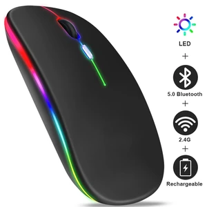 Rechargeable Bluetooth Wireless Mouse with 2.4GHz USB RGB 1600DPI Mouse for Computer Laptop Tablet P in Pakistan