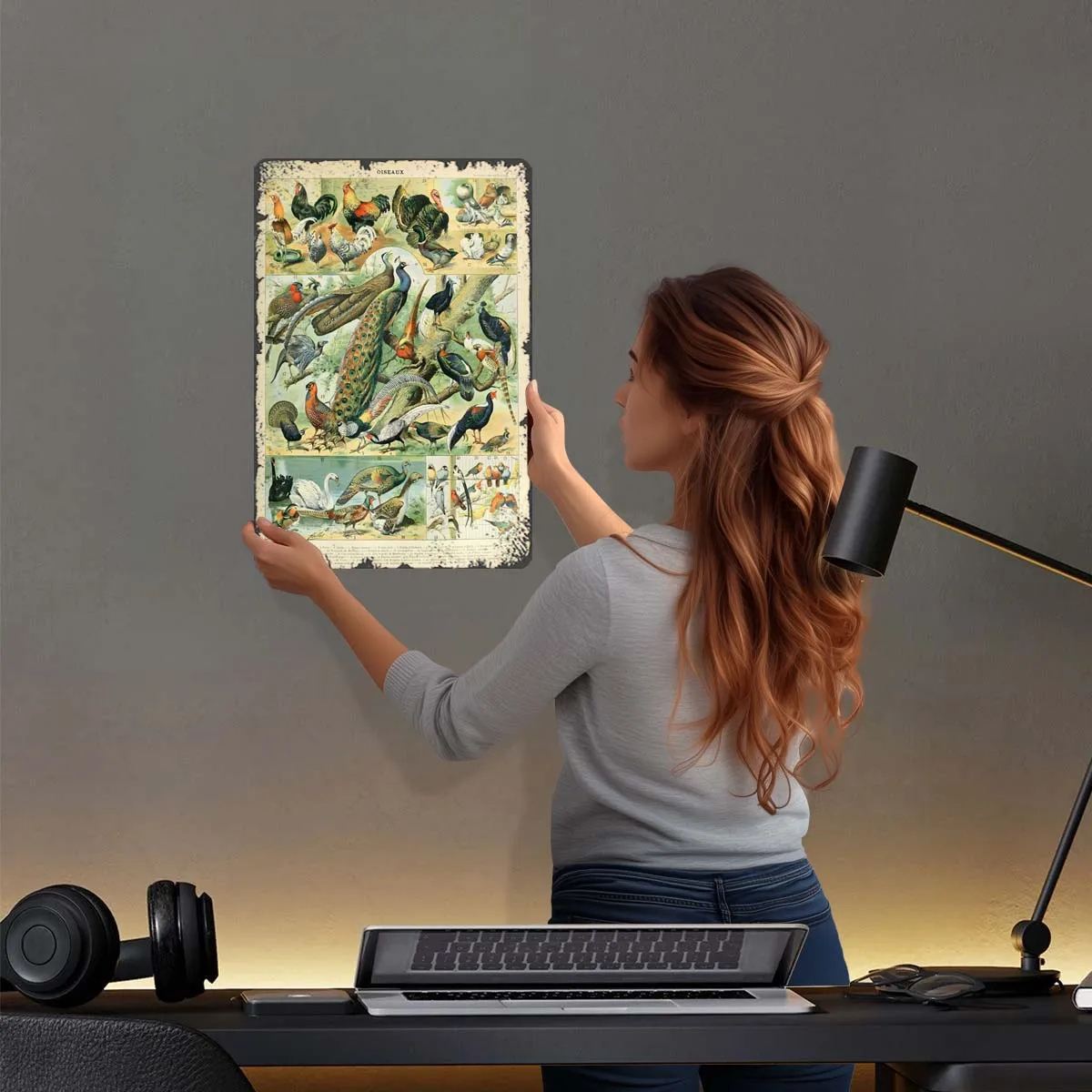 Птицы Адльфе Мильот жестяная вывеска Чертежи Плакат Человек Пещера