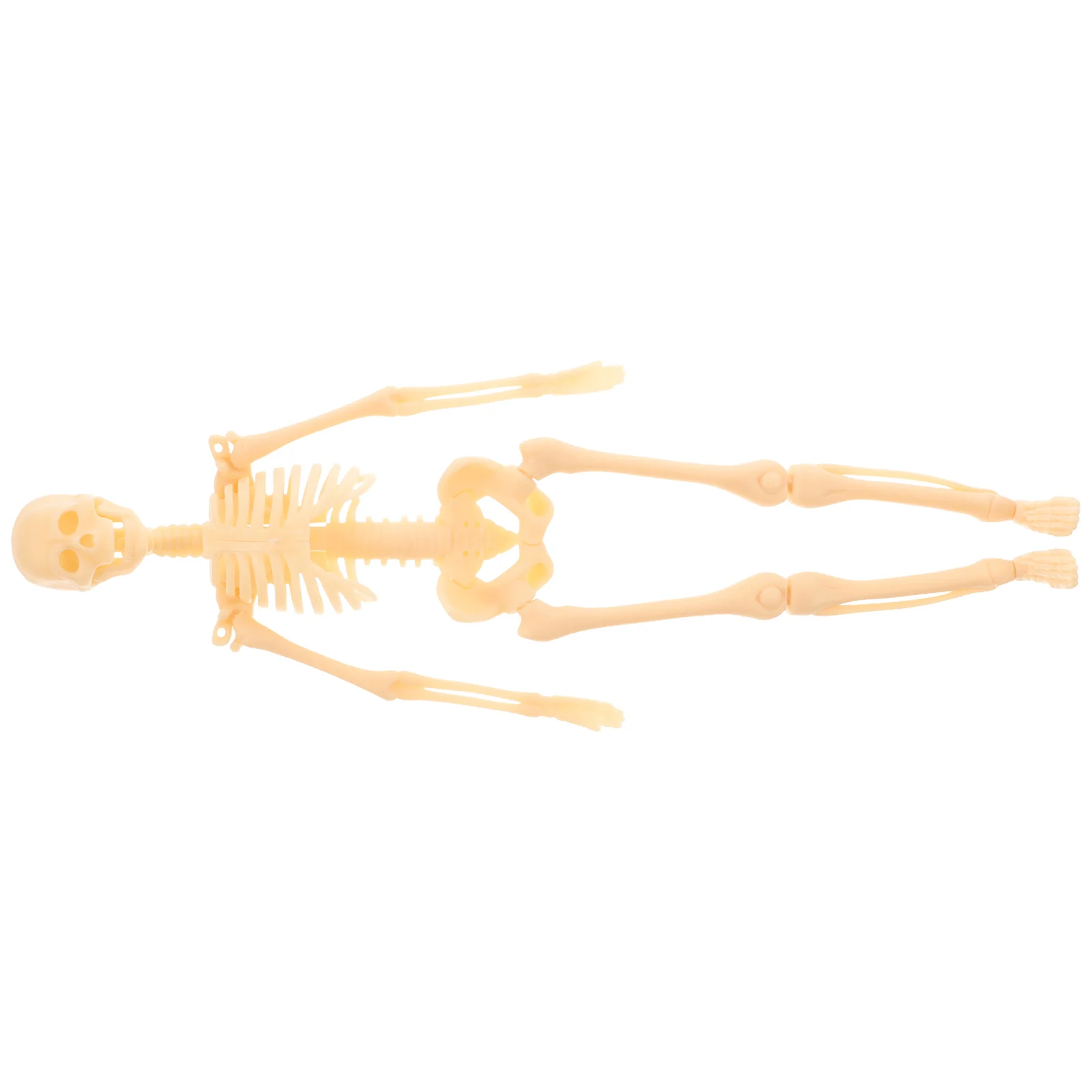 Модель человека анатомическая модель экшн-фигурки для изучения анатомической