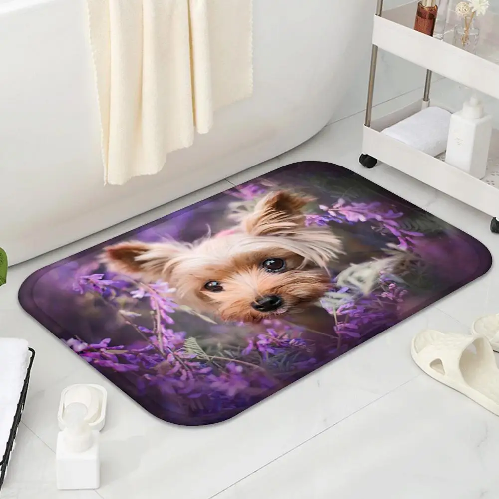 

Long Lasting Fashion Soft Welcome Entrance Carpet Lightweight Doormat Cartoon for Front Door