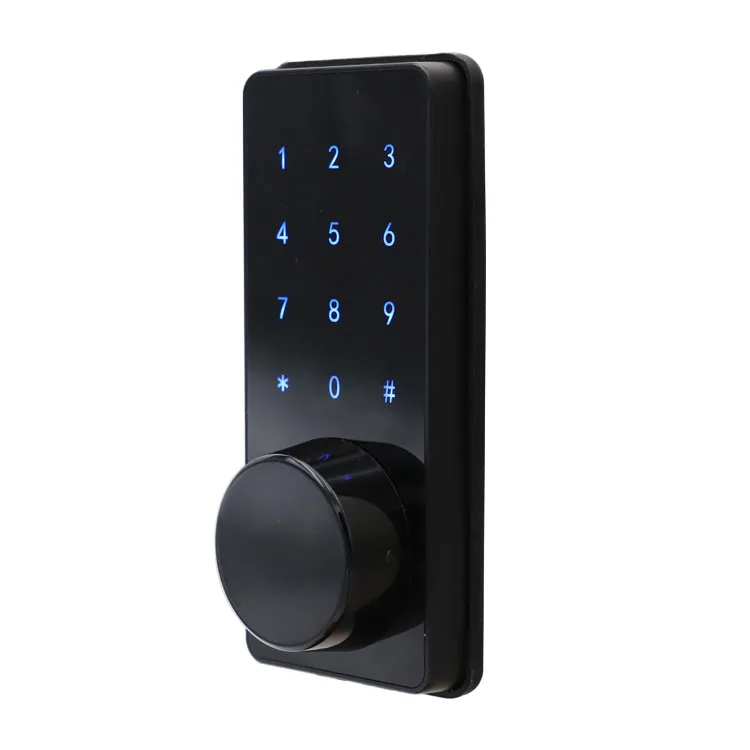 

Whole Sale Shenzhen Factory Price Smart Home DIY Digital Tuya Wifi Smart Door Lock