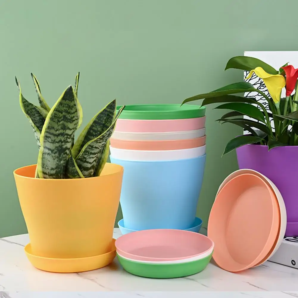 

2Pcs Useful Plant Container Thick Large Mouth Colorful Prevent Root Rot Nursery Planter