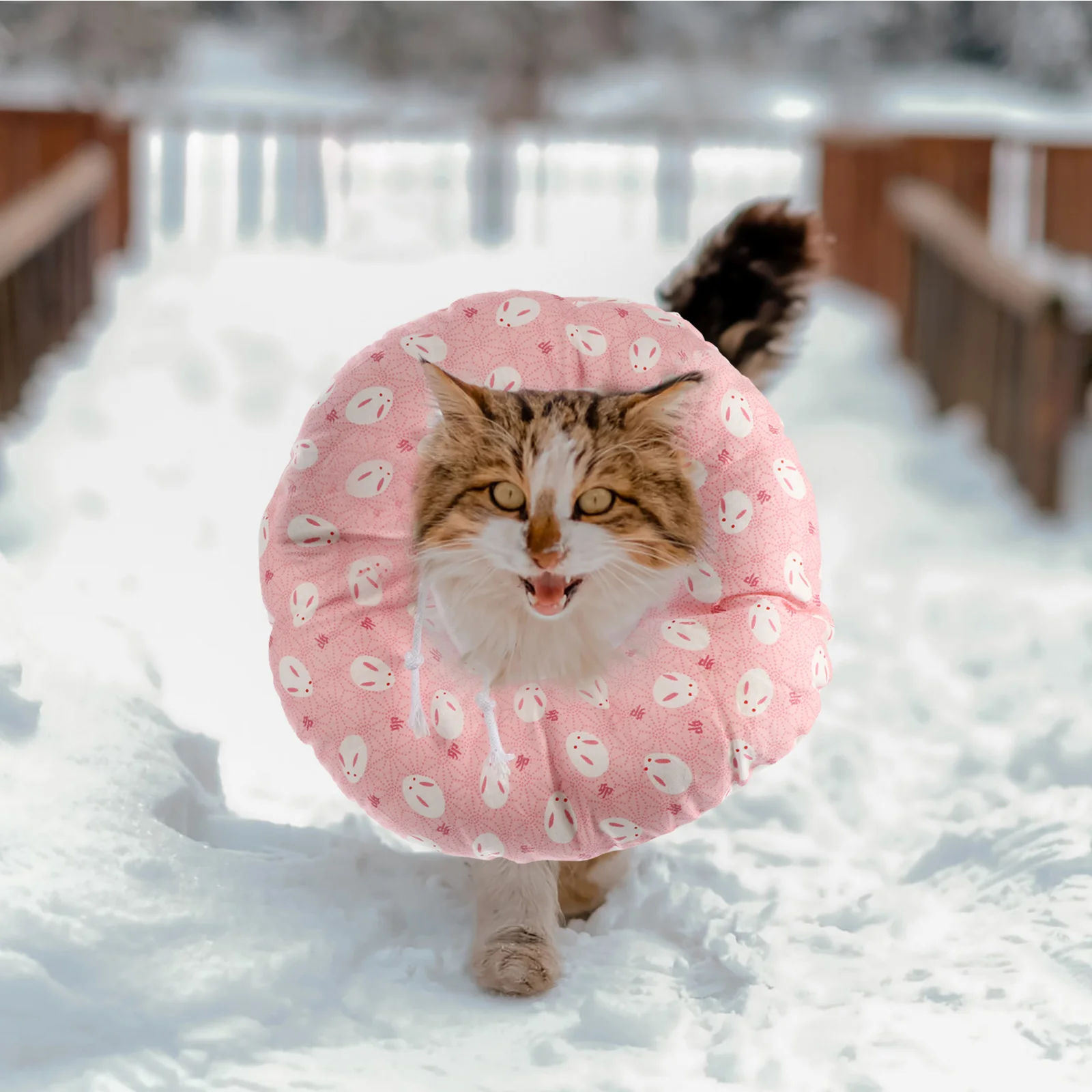 

Cone Collar Pet Recovery Cat Neck Circle Anti Surgery Wound After Dogs Licking Puppy Bite Dog