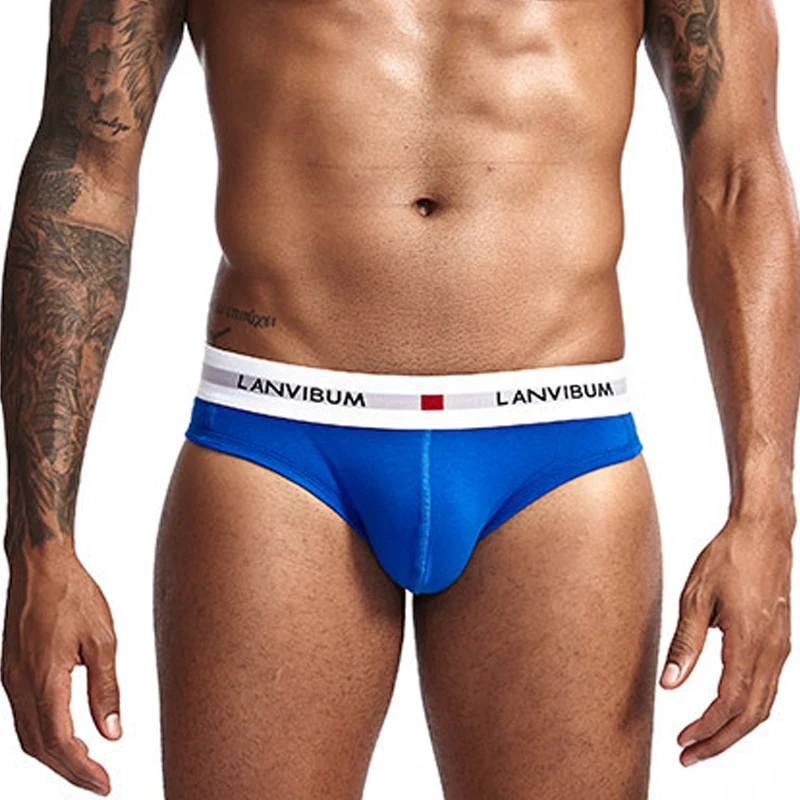 

Мужские трусы брифы из хлопка Heavywood, черные однотонные трикотажные дышащие трусы бикини, сексуальное нижнее белье для мужчин, гей-трусы 2019