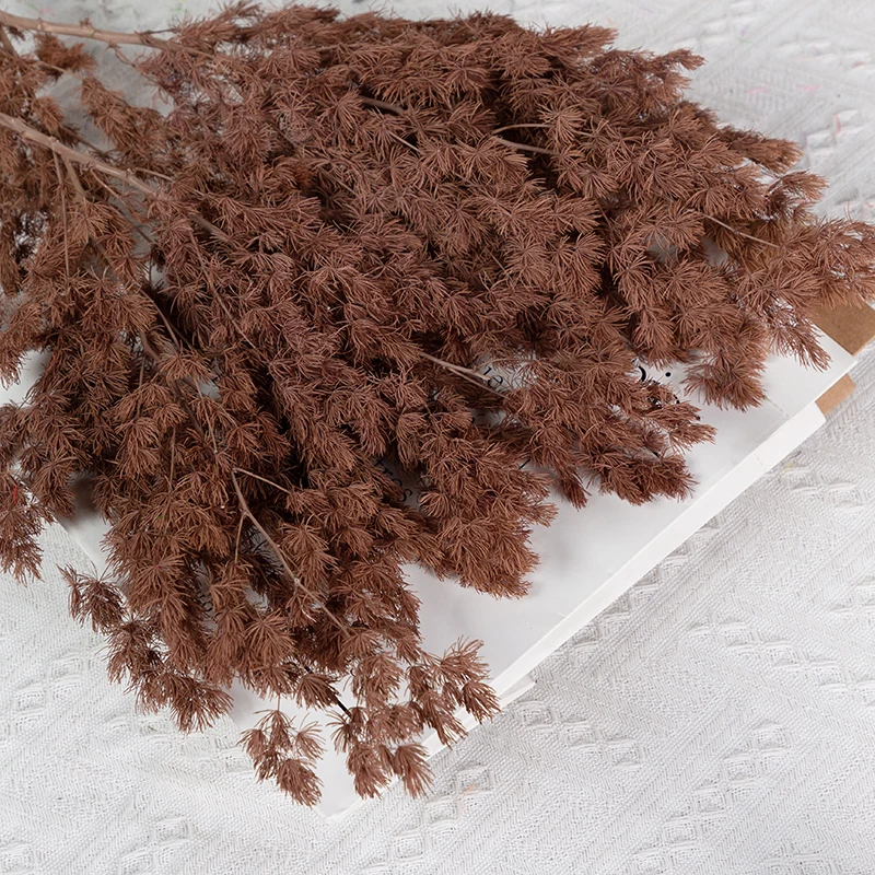 Сушеные цветы сосны Penglai YN HI FLOWER ENJOY YOUR LIFE