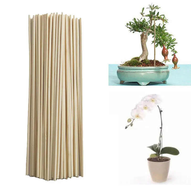 

50Pcs Bamboo Sticks Plants Growth Support Rod Garden Supplies for Flowerpot Canes Rod Bonsai bracing piece Gardening Defend Tool