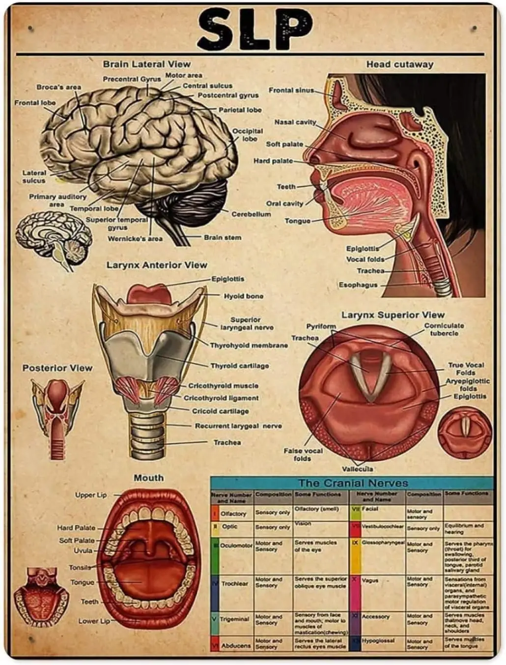Знания оловянные знаки фотообои для ванной комнаты жестяной знак дома кухни