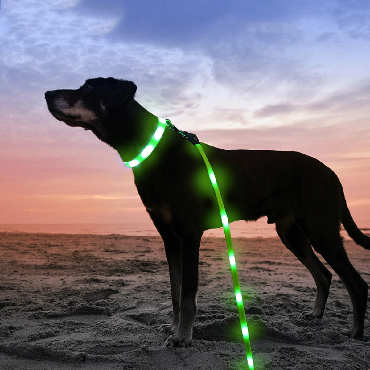 

ZOOBERS Luminous LED Dog Collar, USB Rechargeable Dog Collar Anti-Lost/Car Accident Safety Pet Light Collar Cuttable Dog Leash