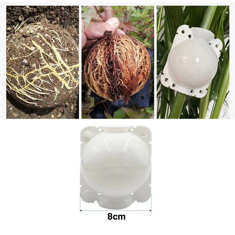 

20Pcs Reusable Plant Rooting Equipment Kit Cutting Grafting Rooting Box Branch Rooting Propagator Breeding Ball(8Cm)