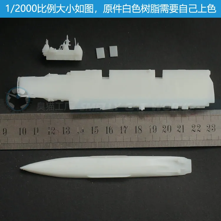 

India USS Vikrant Aircraft Carrier 1/700 Resin 3D Printed Model Custom Assembled Hobby