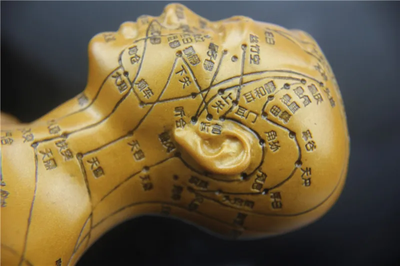 Медицинская HD Прозрачная Мужская Гальваническая статуя из чистой меди |