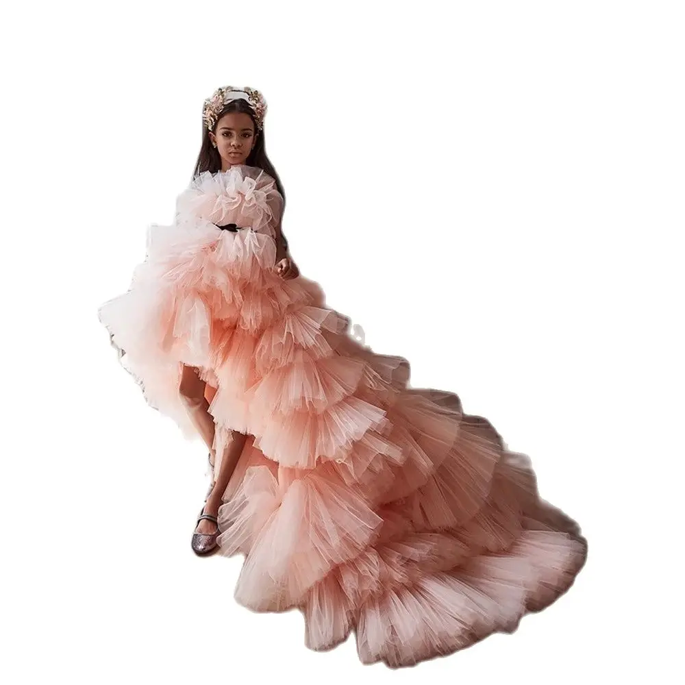 

Lovely Ball Gown Flower Girl Dress for Wedding Party Gown High-Low Tulle Kid Birthday Princess Dresses First Communion Gowns