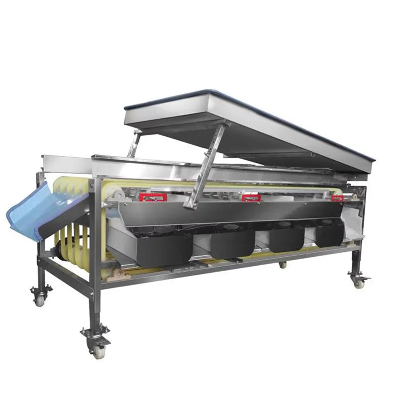 

Fruit sorting grading machine fruit vegetable sorting machine sorting fruit machine
