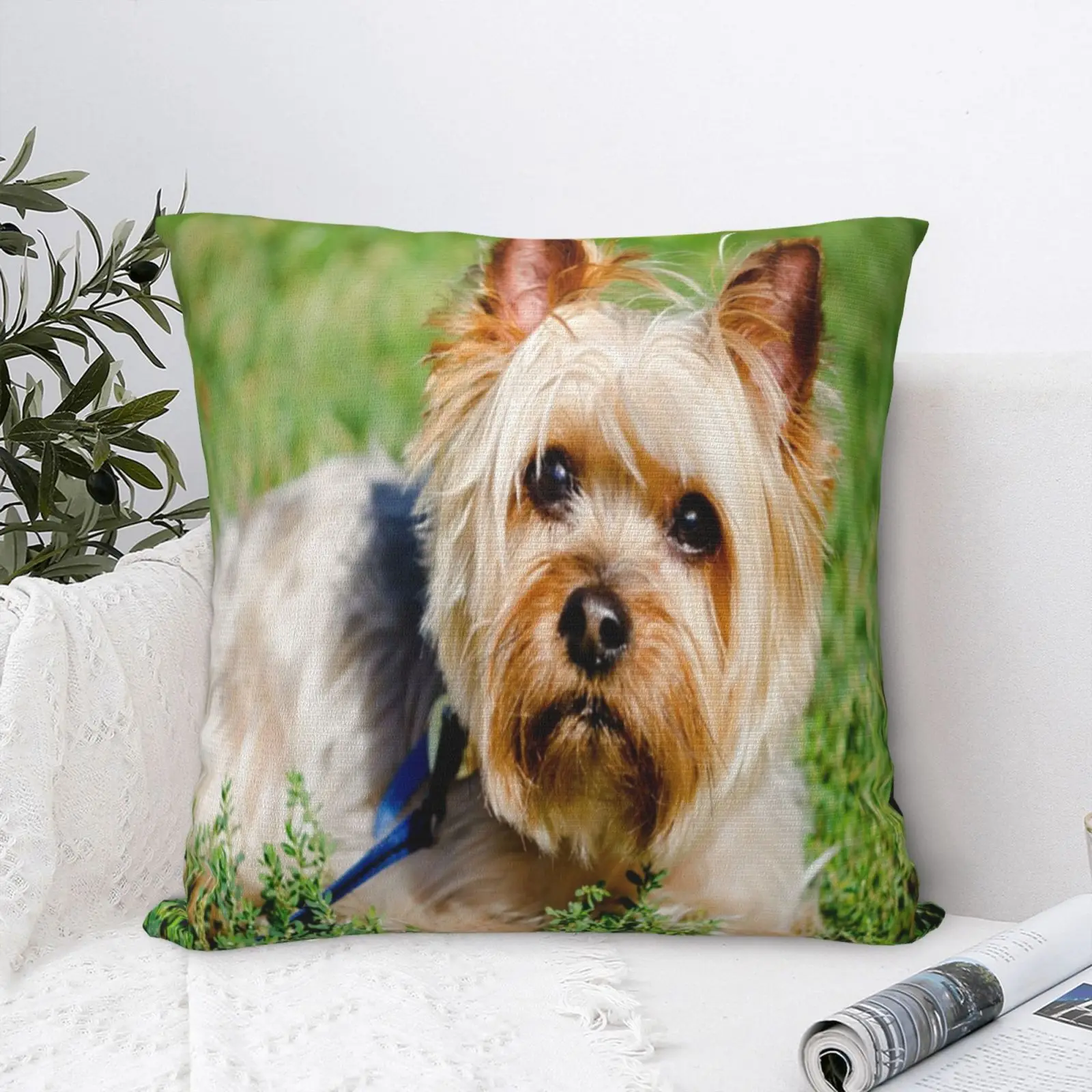 

Bichon Yorkie 1 Pillow Case For Bedroom Bed Pillow Cases Home Decor Cushions Cover Decorative Pillows For Sofa Big Size Pillow