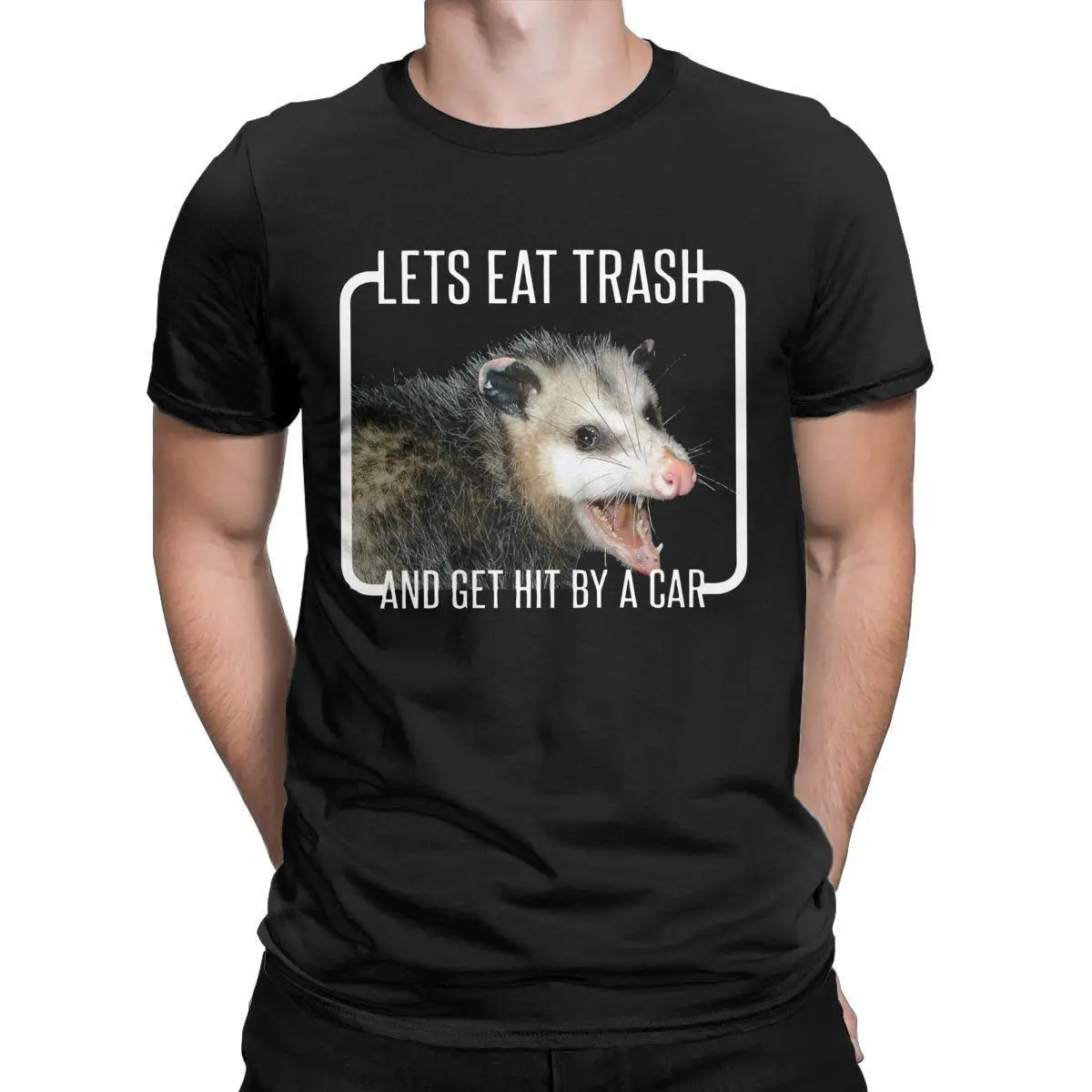 Lets Eat Trash And Get Hit By A Car T Shirts for Men 100% Cotton Casual T-Shirt Crewneck Cute Tee Shirt Short Sleeve Clothing