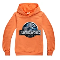 jurassic park hoodies world dinosaur print sweatshirts for girls teen boy graphic coat children clothing kawaii kids autumn top