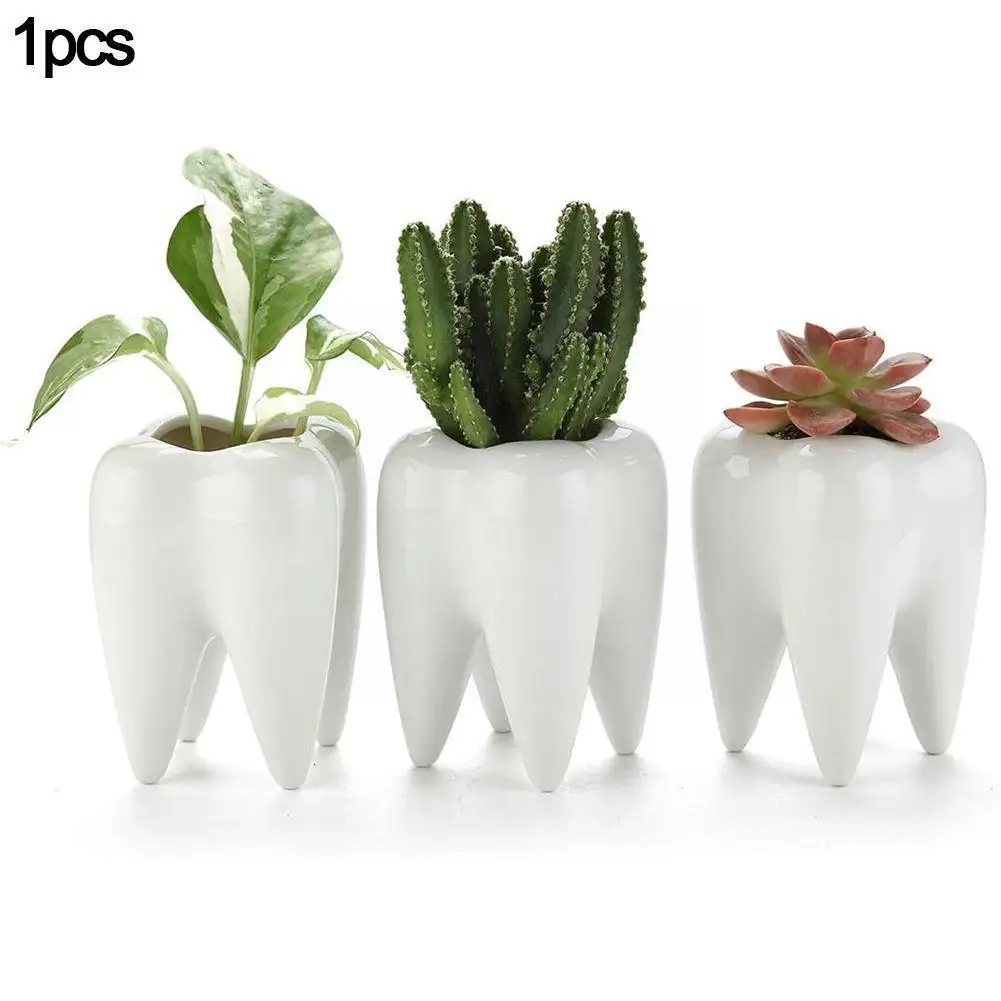 1Pcs Tooth Shaped Tabletop Ceramic Flowerpot Home Furnishings Table Succulent Cactus Vase Flower Pot Nursery Basin Cute Pla D1D0