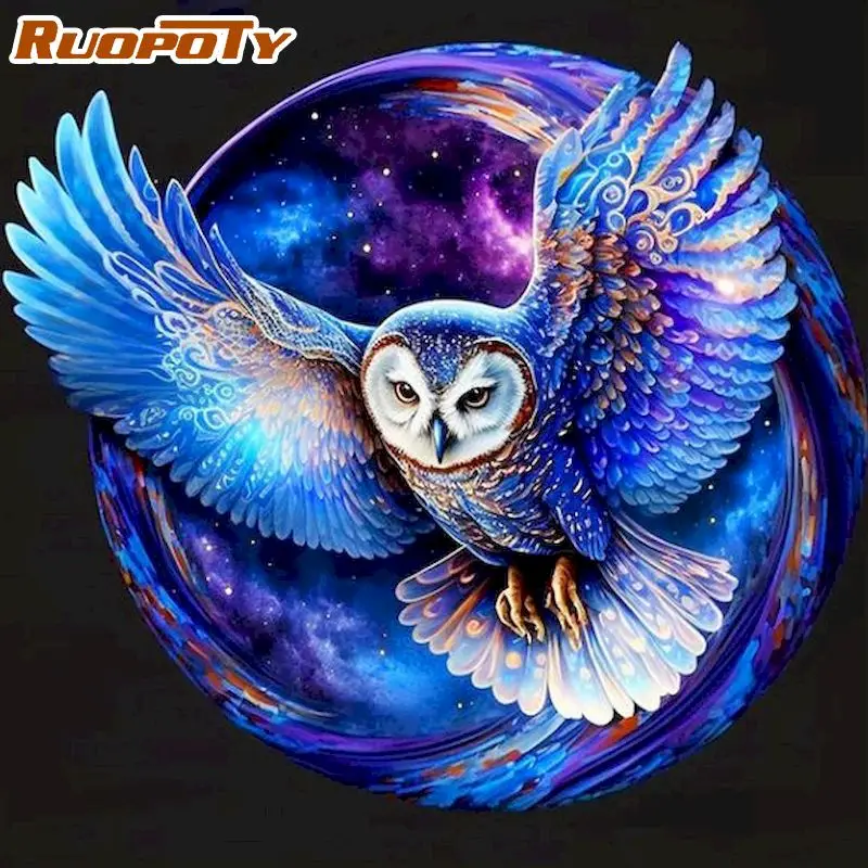 

RUOPOTY Frameless Space Owl DIY Painting By Numbers Acrylic Paint On Canvas Kit Animals Paint By Numbers For Home Decor Art