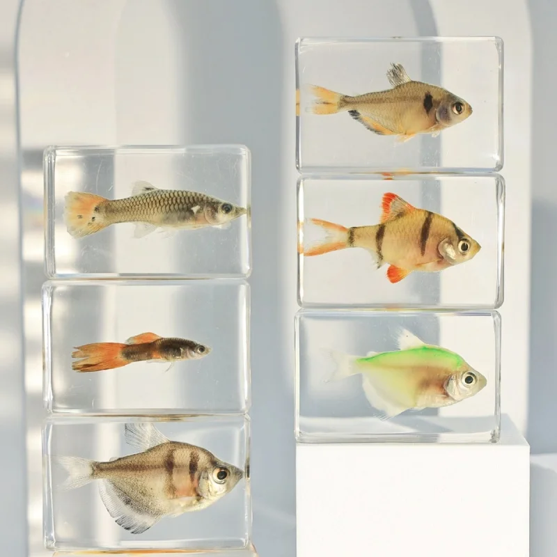 Подарки Морская жизнь смола Рыба Осьминог Кальмар Отшельник краб Креветка Краб