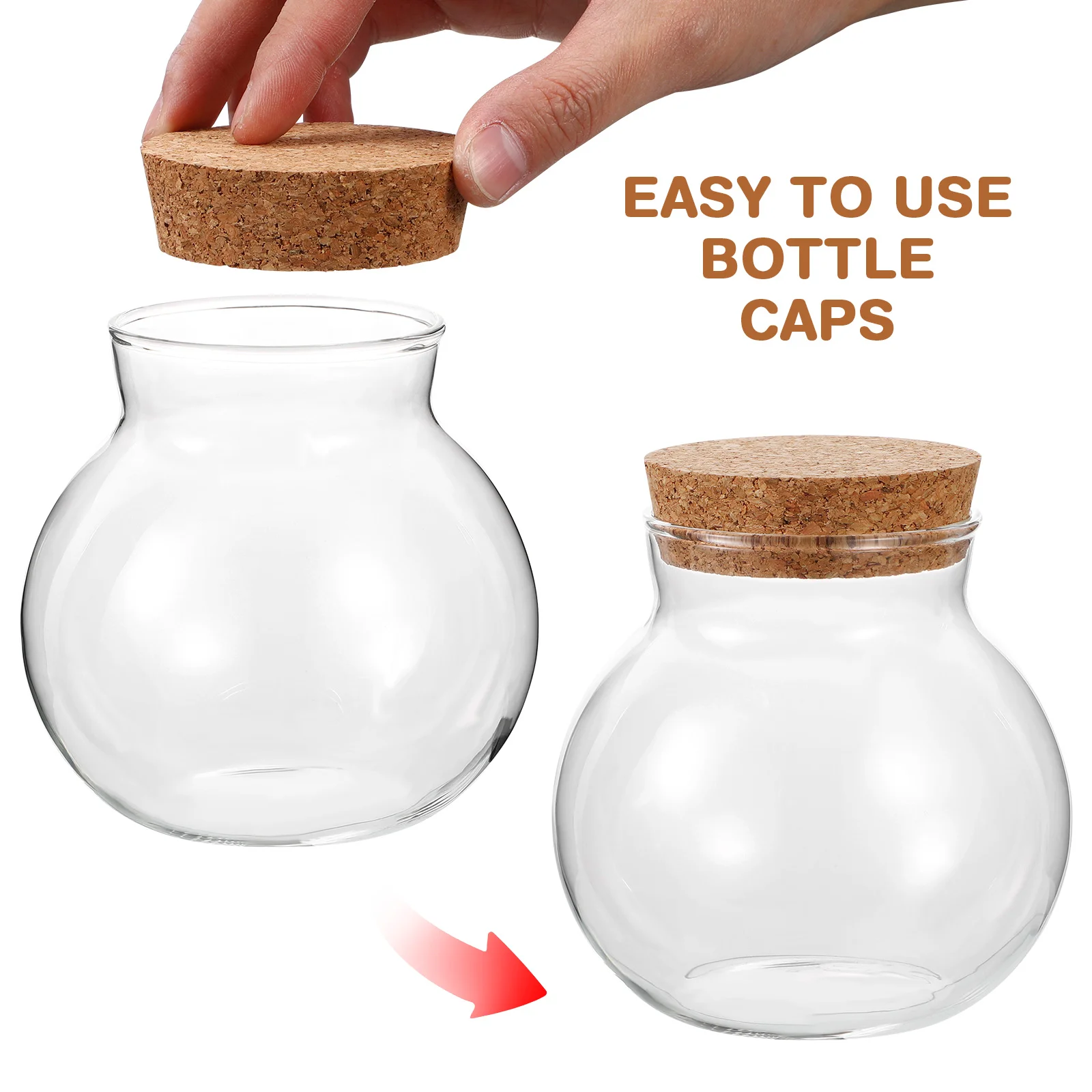 2 шт. пузырьковая чаша дисплей на память глобус микропейзаж экологическая