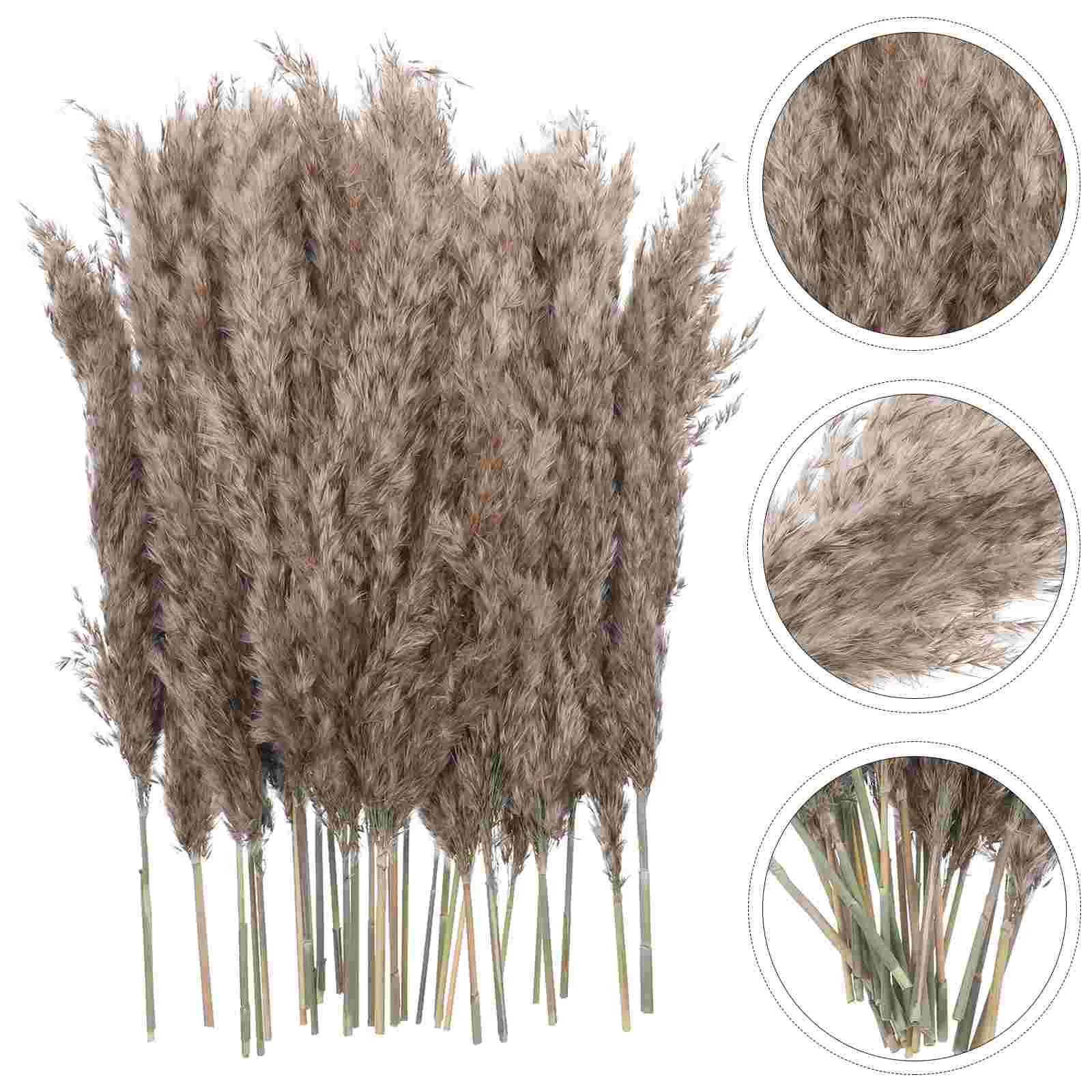 

Pampas Dried Decor Flower Bouquet Fluffy Reed Pompous Branches Artificial Diy Bundle Wheat Faux Natural Pampass Stem Tails Dry