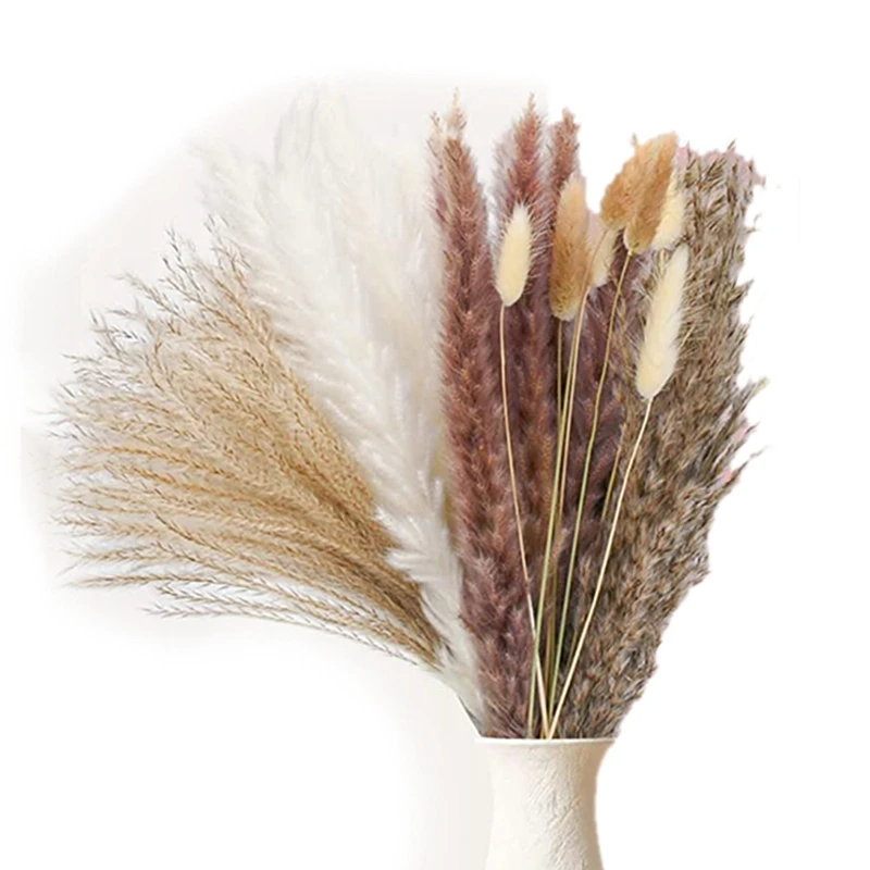 

107 Pcs Natural Dried Pampas Grass Bouquet Dried Pompous Grass Decor Bunny Tails Stem Reed Grass Plants Branches Fluffy