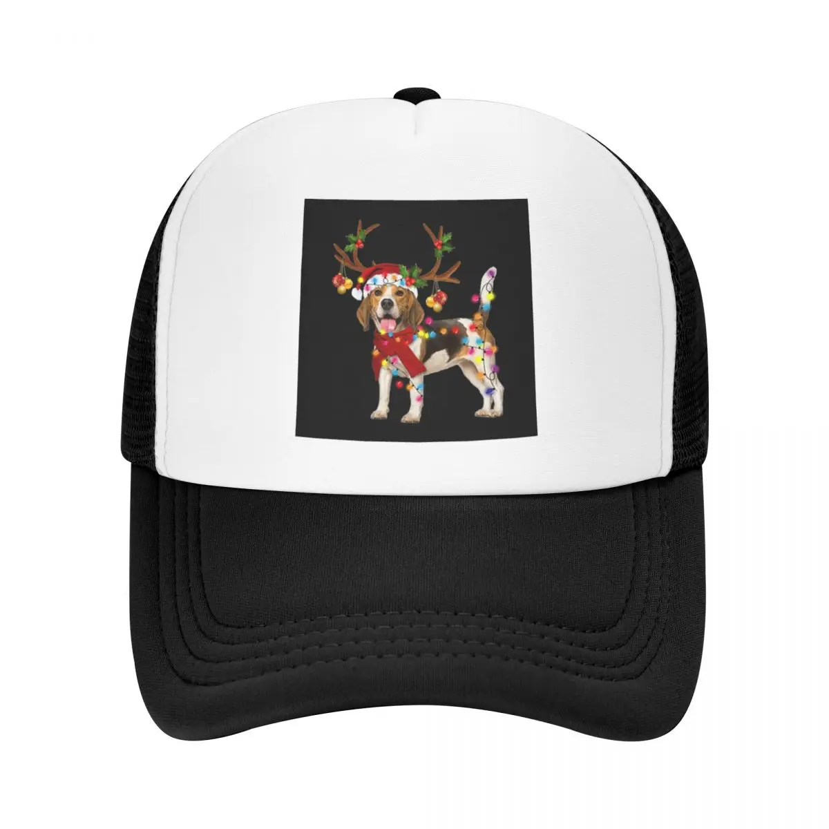 Рисунок 2 - Бейсболка Beagle