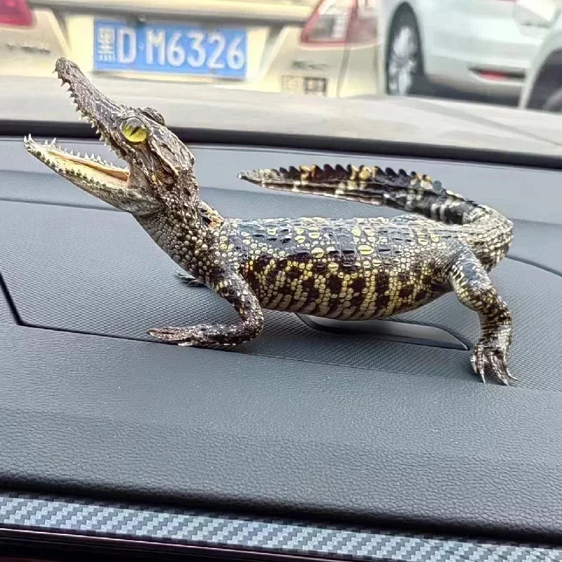 2199 оригинальный образец крокодила для ползания индивидуальный Готический
