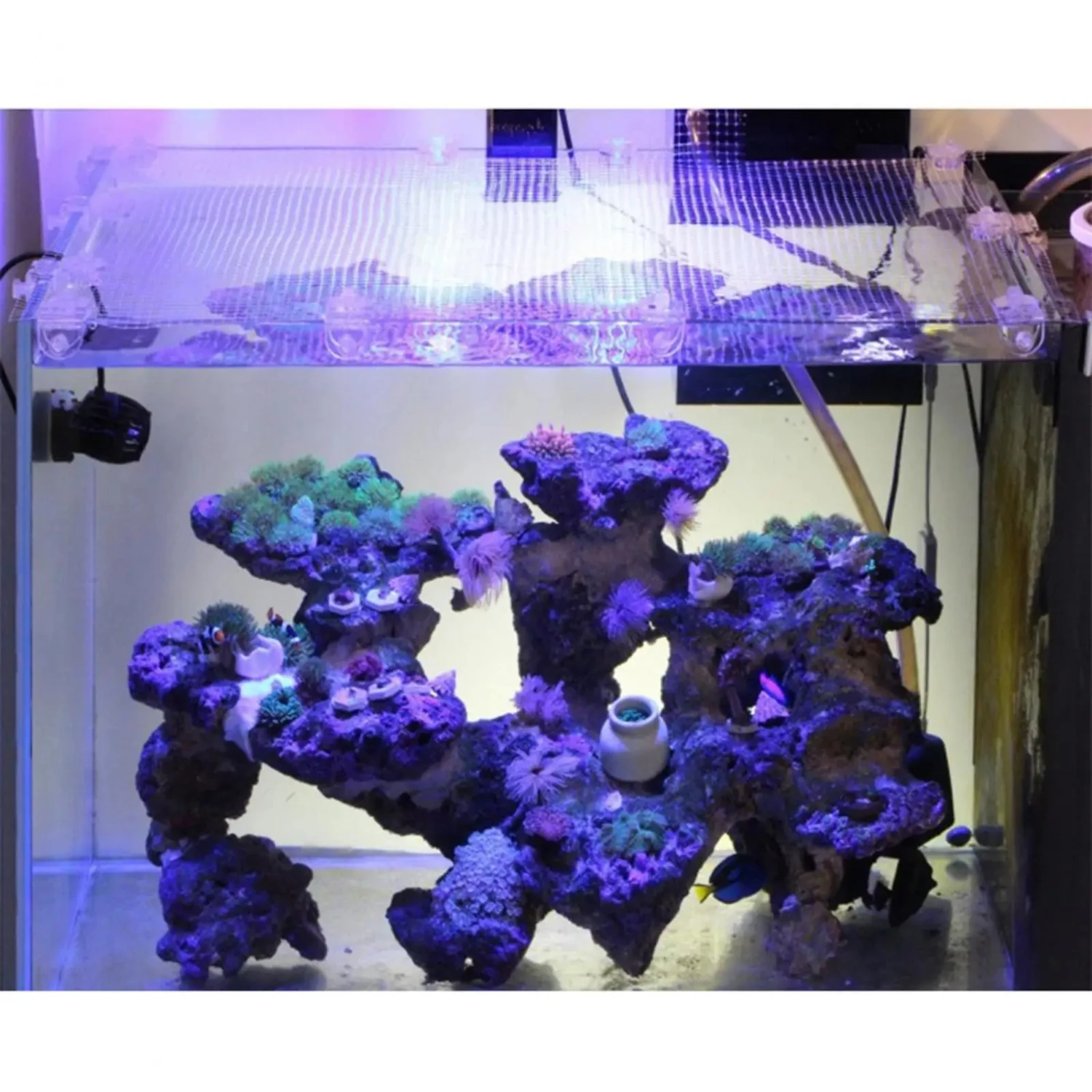 Улучшите свою безопасность аквариума с помощью высококачественного прочного