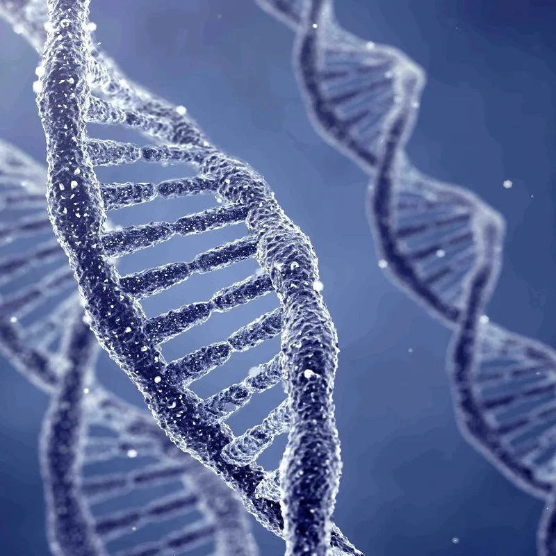 Профессиональный биологический микроскоп 40X-1000X L2000B бинокулярный тринокулярный