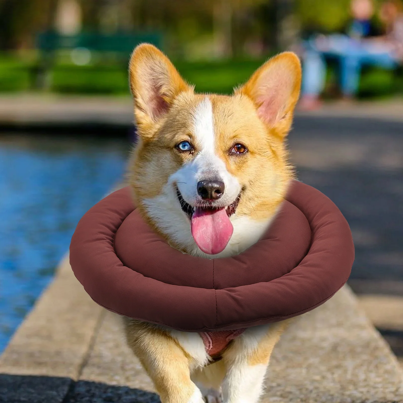 

Elizabeth Circle Pet Supplies Anti-bite Collar Recovery Neck Protective Cat Dog Small Dogs