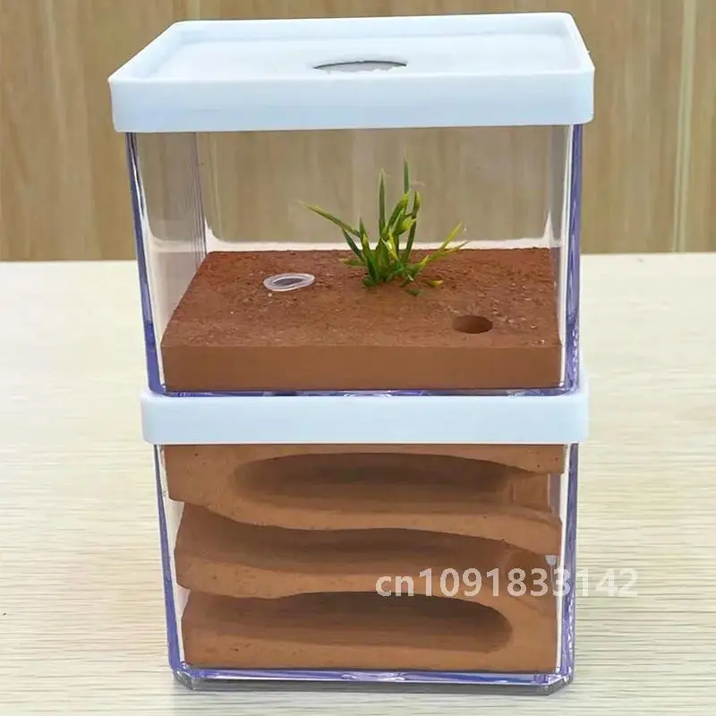 Пластиковая ферма муравьев высокая влажность насекомое замок для отеля