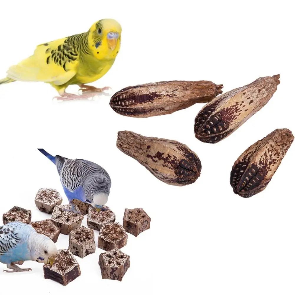 

Pet Parrot Natural Grinding Toys Chew Toys Dried Fruit Blocks Home Decoration For Relieve Boredom