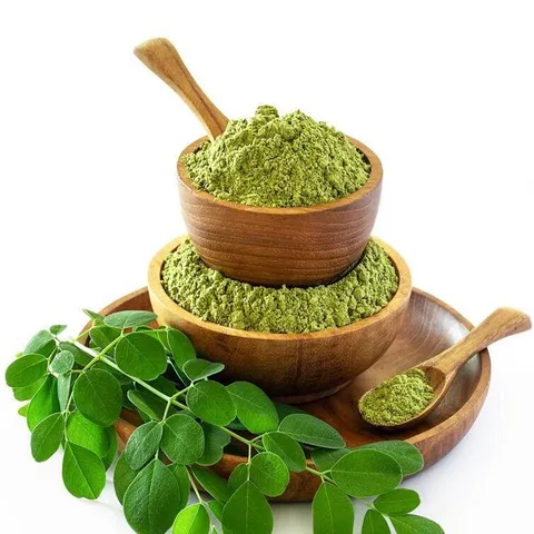 Moringa - купить недорого | AliExpress