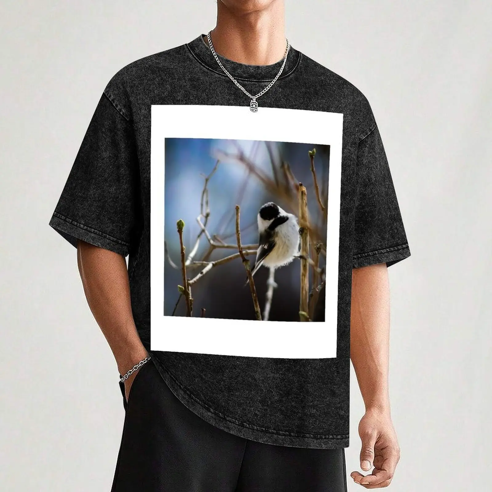 Мужская футболка Black Capped Chickadee on a Branch хлопковая