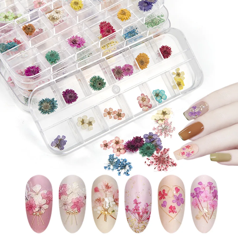 

28/24/12 Pieces Dried Flower Nail Art Mixed Shape 3D Dry Flower Nails Manicure Tips Charming Nail Art Decoration Accessories