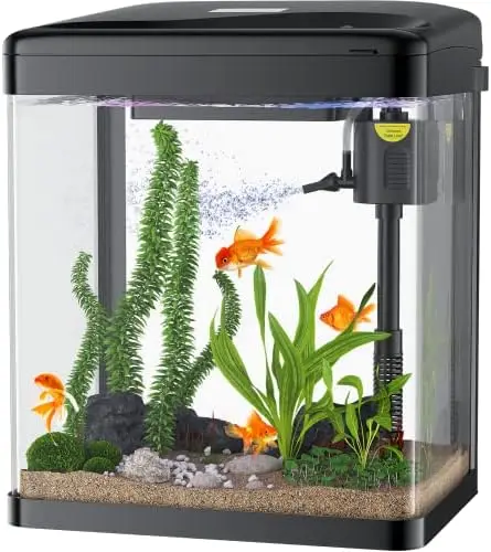 

Аквариум, стеклянный аквариум 3 галлона, аквариум 3 в 1 с фильтром и фотографией, настольный маленький аквариум для рыб Betta, креветок, золото