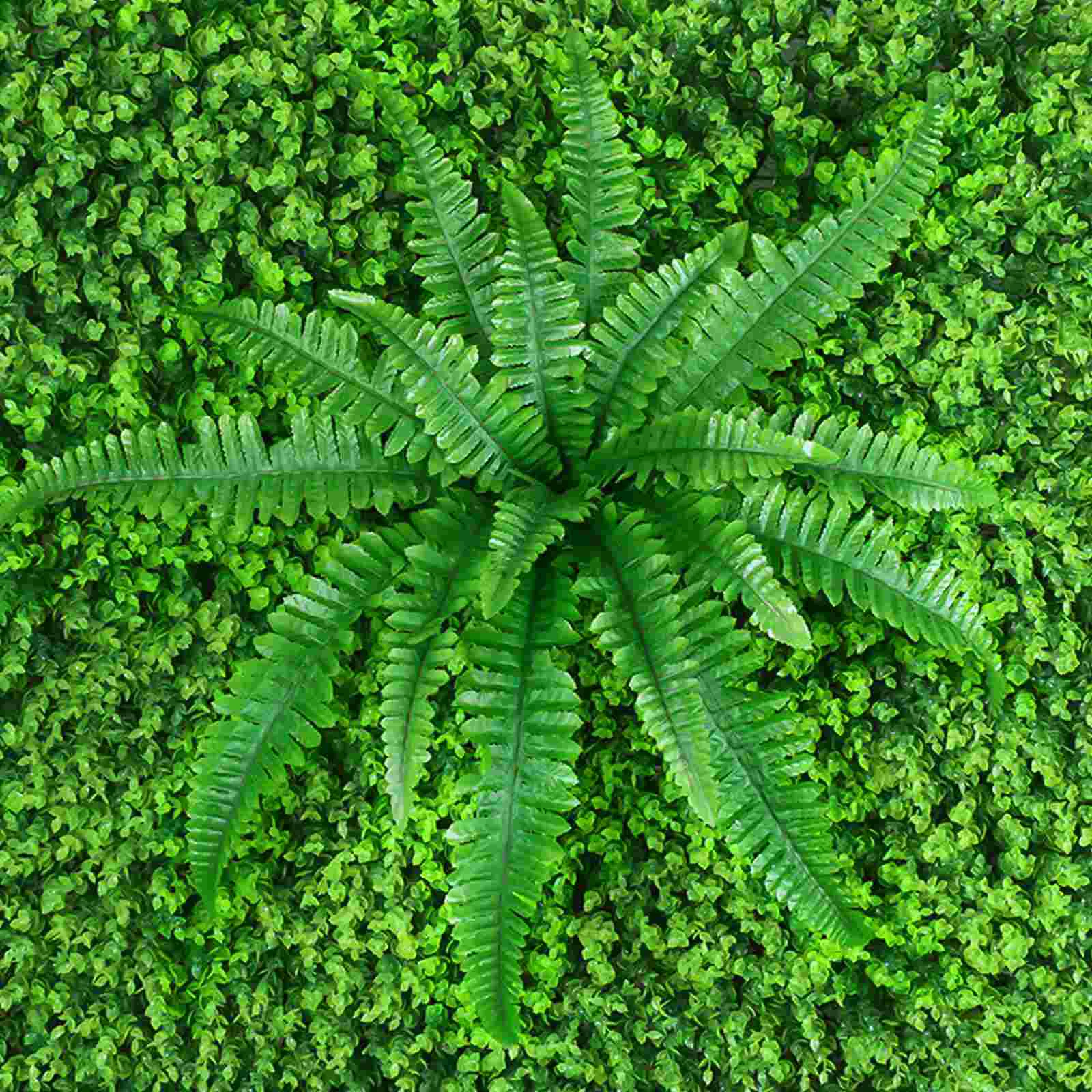 Растения искусственные стены уличное украшение листья живая изгородь зелень фон