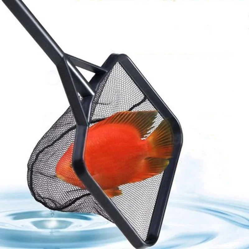 Сетка для ловли рыбы в аквариуме с длинной ручкой и квадратным выловом, портативная, размером 41см х 12см, подходит для маленьких рыб.