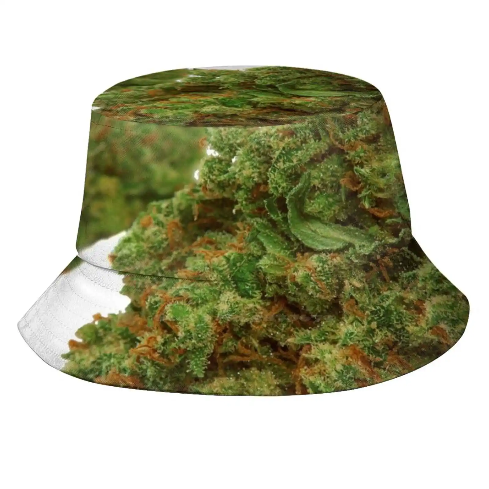 AliExpress