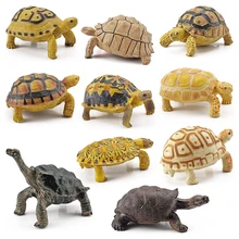 Toys Gifts for Child Kids Simulation Turtle Action Figure Ocean Sea Life Figurines Aquarium Tortoise Models Collection Figures