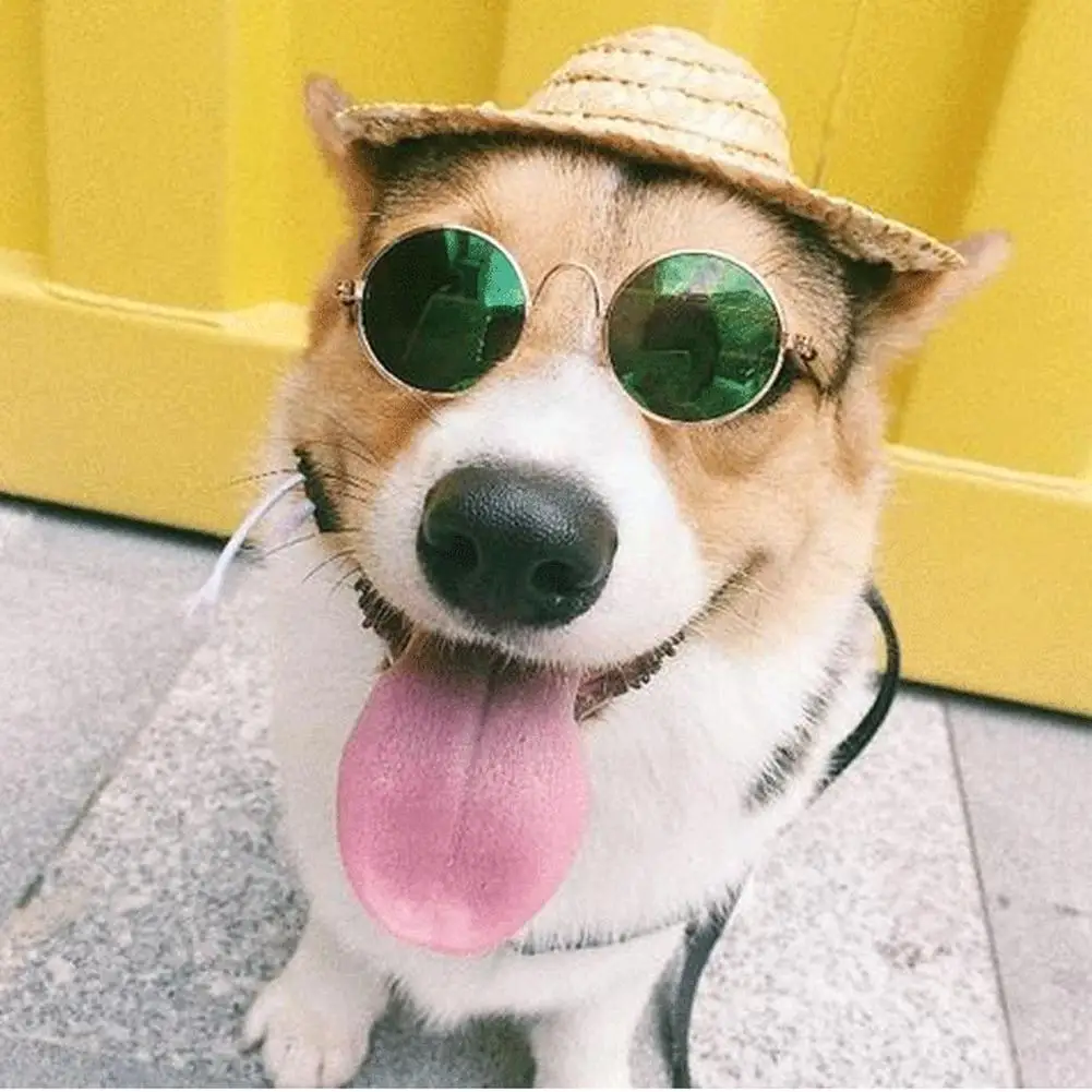 

Новинка солнцезащитные очки для собак товары для домашних животных красивые винтажные круглые отражающие очки для маленьких собак фото ре...
