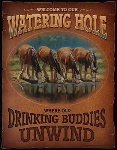 

Wild Wings Welcome to Our Watering Hole Tin Sign, Brown,