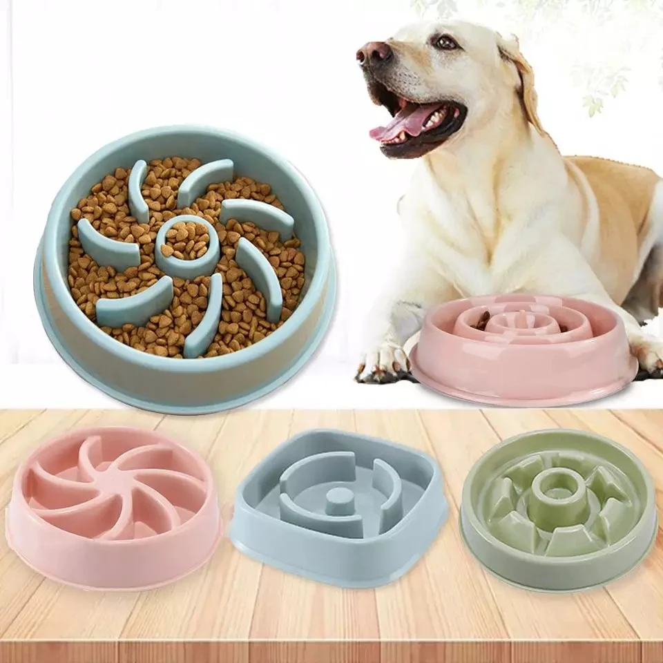 

Manufacturer wholesale multi-colors design slow feeder pet dog bowls