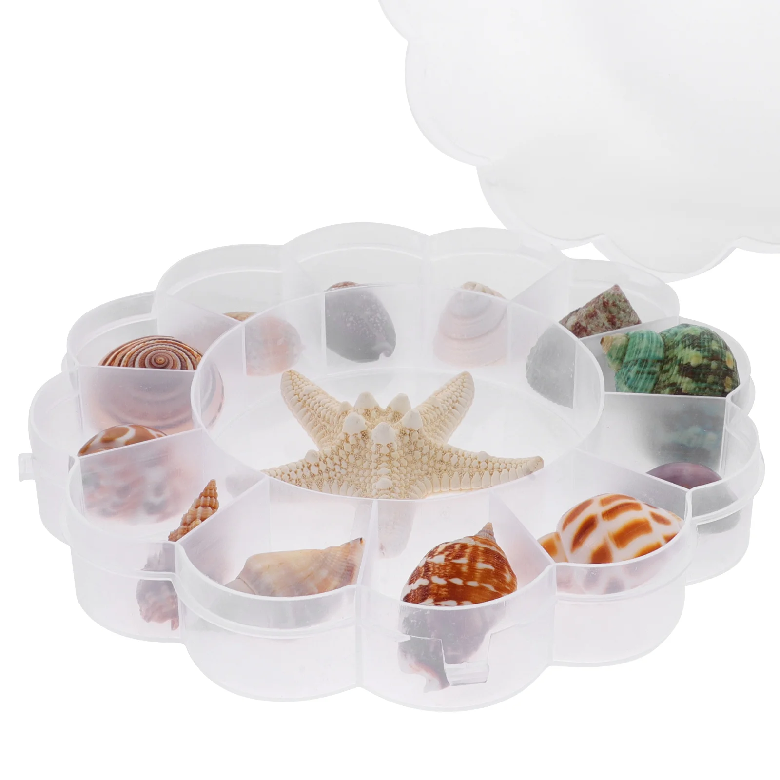 

13 Pcs Fish Tank Kit Exquisite Conch Adorn Suite Aquarium Shell Landscaping Decor Landscape Ornament Ocean Shells