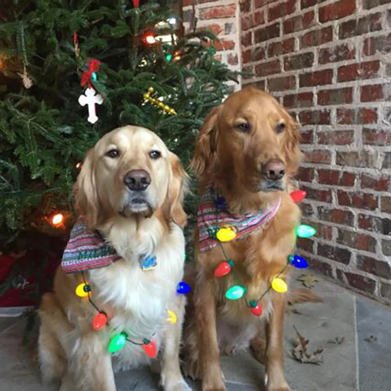 

Рождественсветильник ожерелье с лампочками, 2 шт., Рождественская Новинка, светящееся Рождественское украшение для дома, Рождество, Новый г...