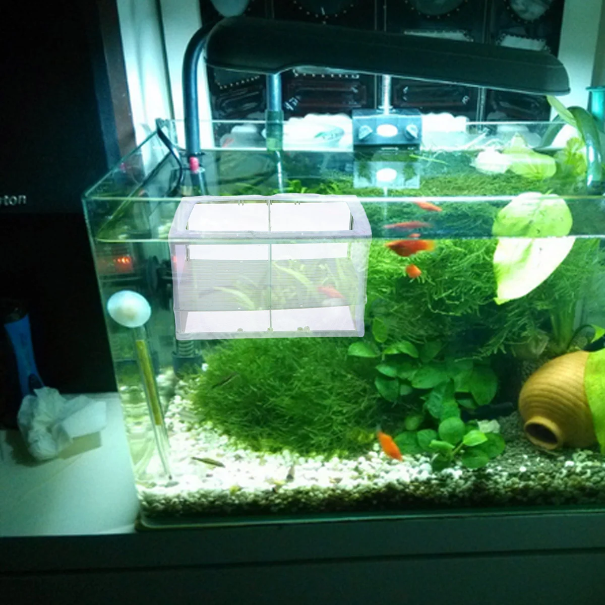 

Fish Box Breeder Net Breeding Tankaquarium Isolation Large Hatchery Nurserymesh Baby Small Divider Separation Acclimation
